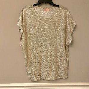 Christmas metallic silver short sleeve shirt. M/L